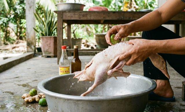 Sơ chế vịt