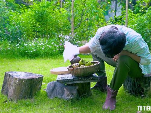 Ngâm hồng giòn, ủ hồng mềm, mỹ vị của mùa Thu - Cuộc sống nông thôn tập 30