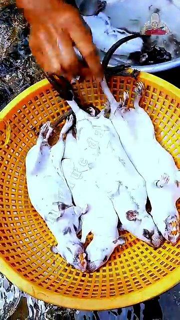Chuột Cống Nhum Đồng Quay Lò Đặc Sản Dân Dã Gây Nghiện Của Miền Tây