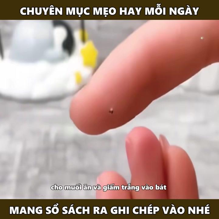 Hình ảnh minh họa cách ngâm ngón tay vào bát nước ấm pha muối và giấm để xử lý dằm.