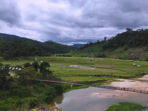 Làm HỒNG TREO GIÓ tưới NƯỚC NÓNG: Công thức kì lạ, thu hoạch kết quả món hồng sau 2 tuần