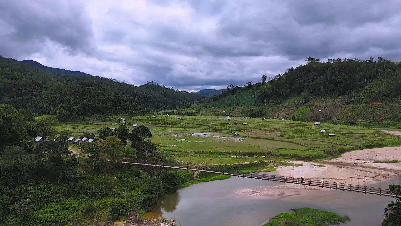 Làm HỒNG TREO GIÓ tưới NƯỚC NÓNG: Công thức kì lạ, thu hoạch kết quả món hồng sau 2 tuần