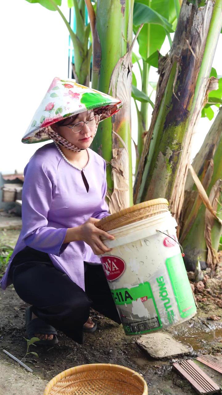 Hình ảnh những con lươn tươi được chuẩn bị sạch sẽ, bóng bẩy.