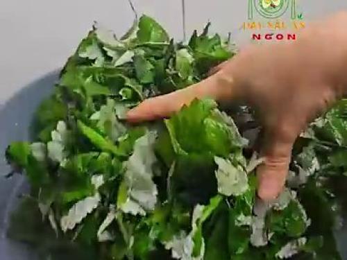 Cách Làm Bánh Gái Từ Lá Gái Tươi Thơm Ngon, Dẻo Ngọt Chuẩn Vị