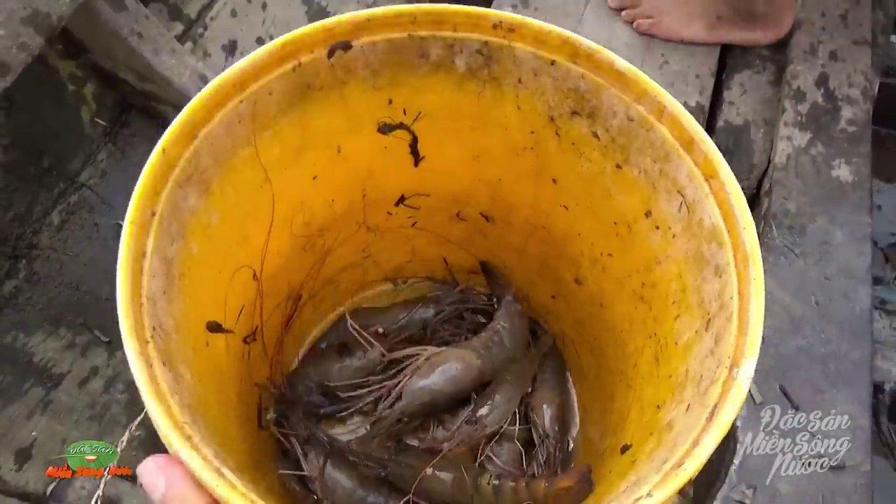 Miền Tây quê tôi: Nơi hương vị đồng quê níu chân người