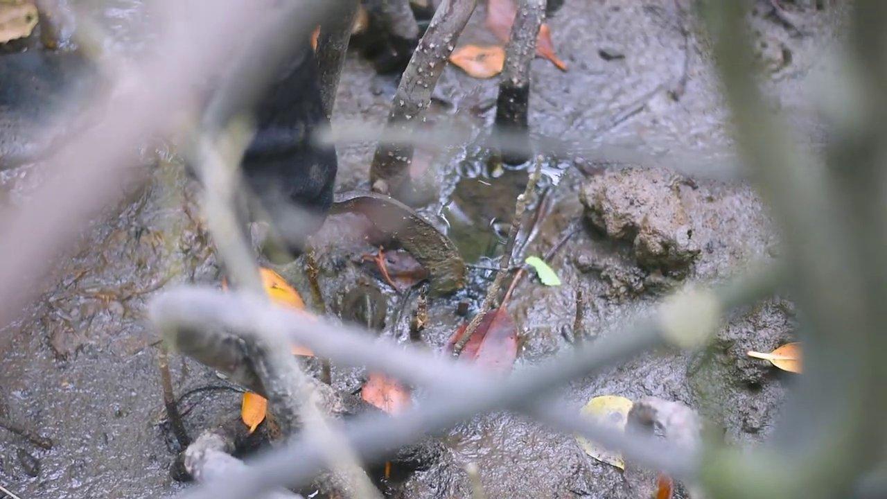 Hình ảnh trang sách cổ ghi chép công thức mứt khổ qua.