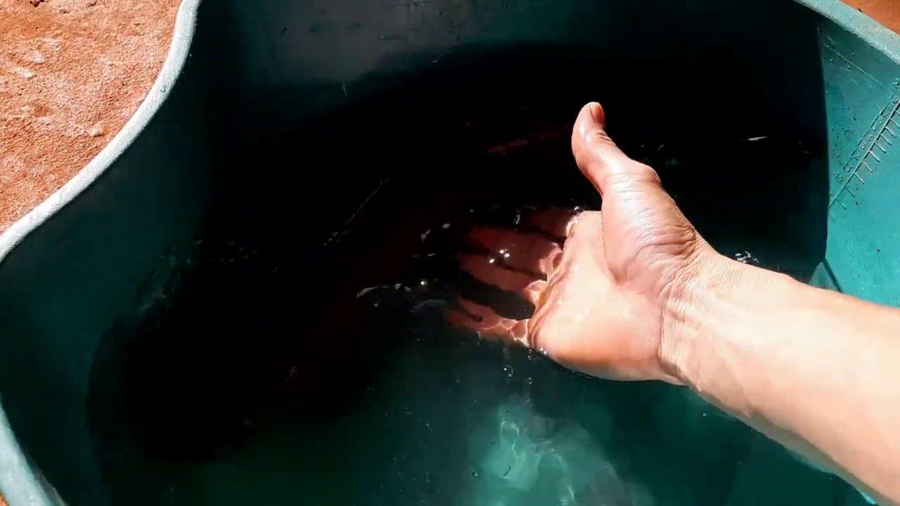 Cách Làm Cá Lóc Hấp Lá Chuối Tươi Ngon, Nước Chấm Thần Thánh Đậm Đà