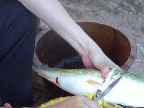 Khám phá món mì Quảng cá - Tinh hoa ẩm thực miền Trung từ góc nhìn của một người con xứ Quảng