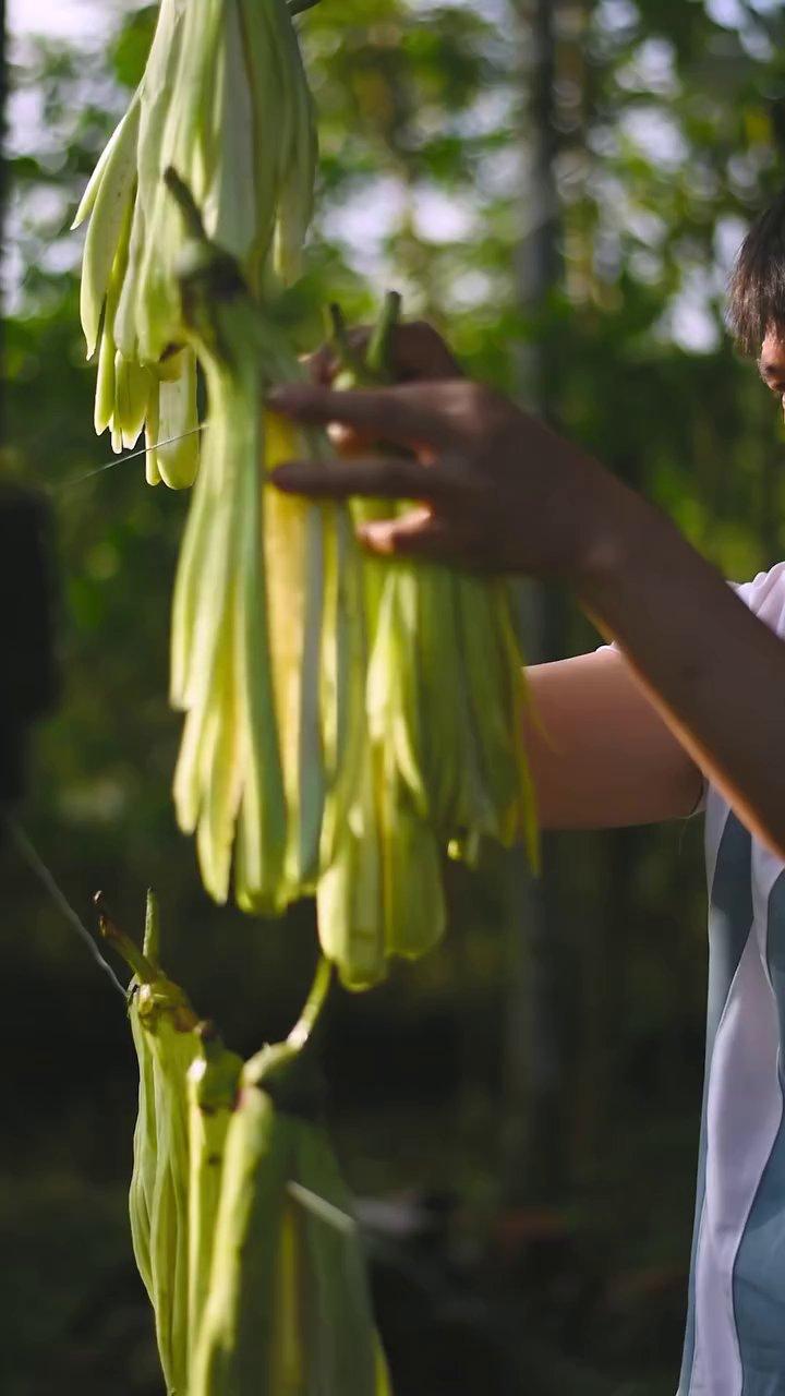 Những sợi cà tím vàng óng được thái mỏng như tơ, chuẩn bị cho hành trình phơi nắng đầu tiên.