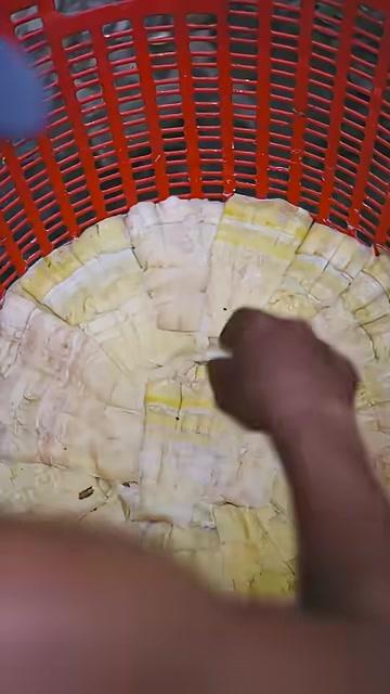 Những miếng măng đã ép được xếp hàng ngay ngắn chuẩn bị vào lò