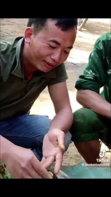 Món ăn Tây Bắc nóng hổi, vừa được lấy ra từ bếp lửa, tỏa hương thơm phức.