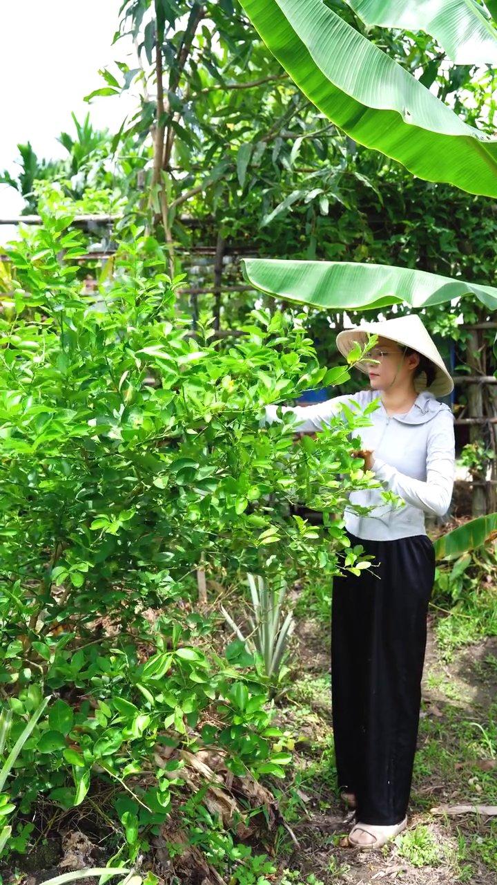 Thịt gà thả vườn được chặt miếng vừa ăn, chuẩn bị cho vào nồi lẩu.