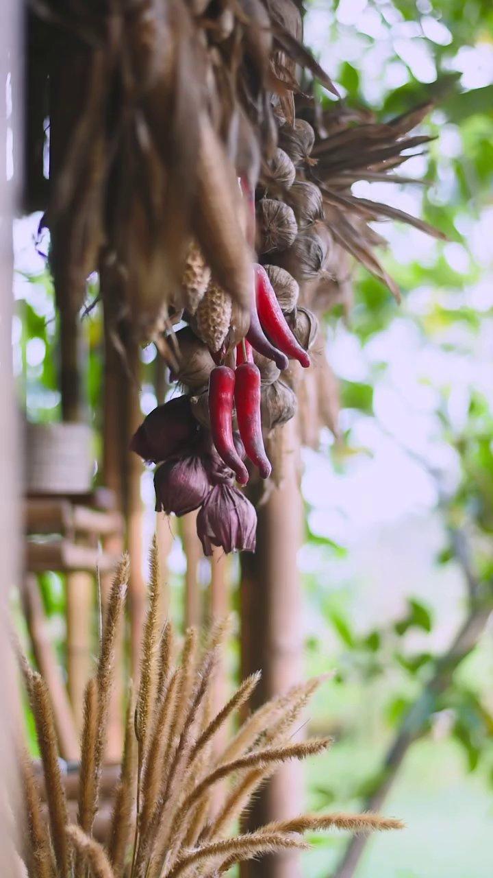 Những sợi cà sau nhiều lần hấp phơi có màu nâu cánh gián đẹp mắt, tỏa hương thơm đặc trưng.