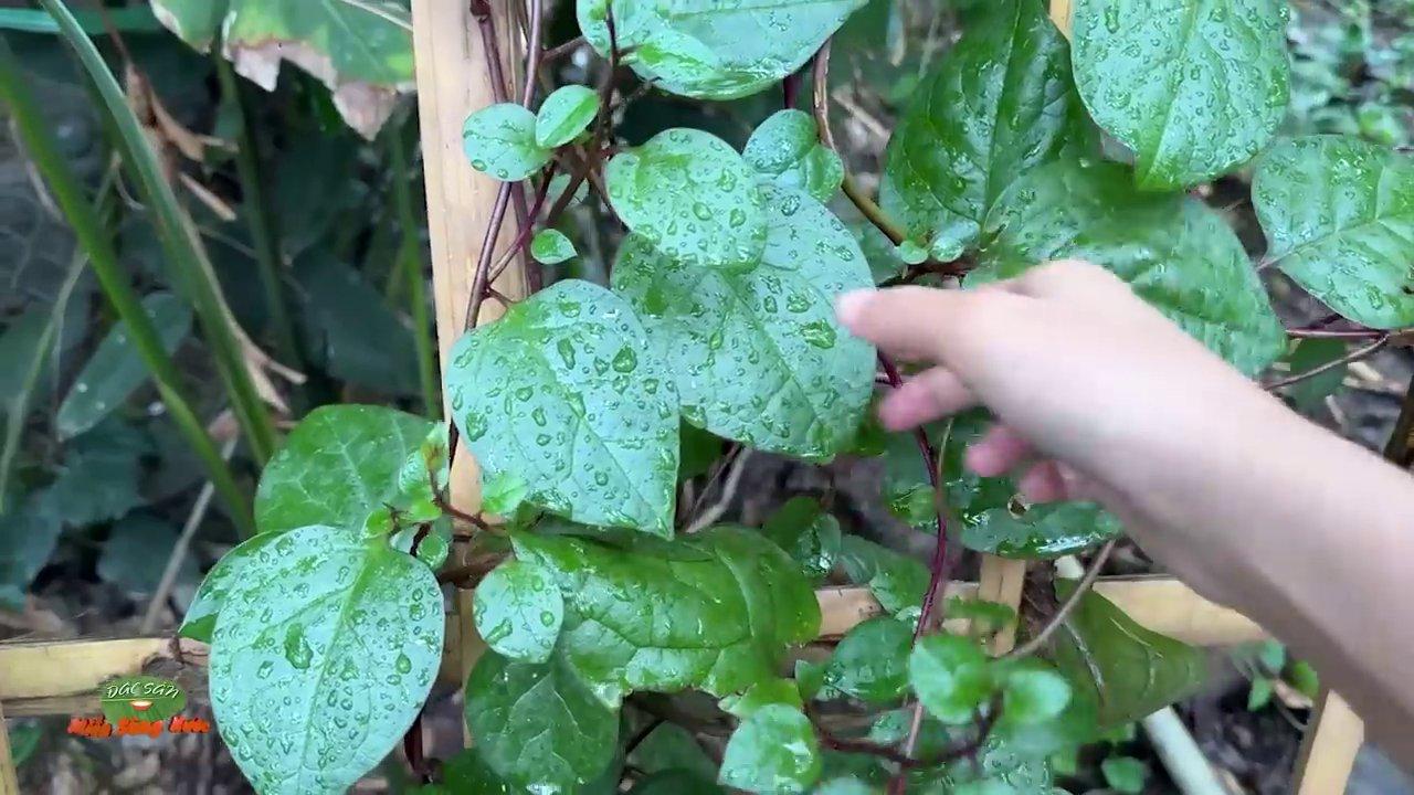 Nồi lẩu mắm đang sôi sùng sục, bốc khói nghi ngút, bên cạnh là rổ rau đồng tươi rói.